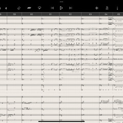 In Memoriam Myroslav Skoryk for symphony orchestra