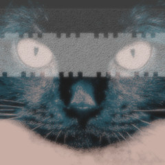 Monster - Animal I Have Become (Super Sped up)