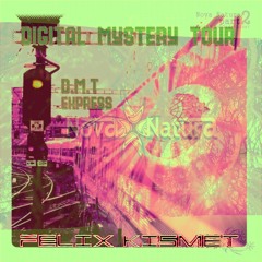 Digital Mystery Tour, Zero Cult - Des Roses Blur (Felix Kismet Mashup)