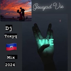 Gouyad Vie Mix 2024 Dj Toxyq