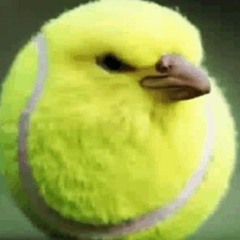 Tennisbird