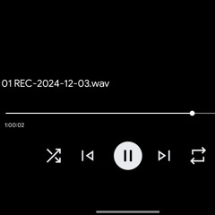 dub/progressive 031224