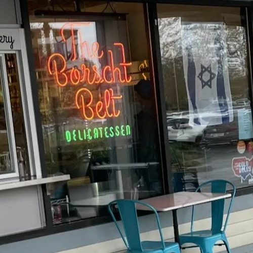 Public Comments Regarding Borscht Belt Neon Sign