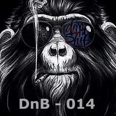 DnB 14