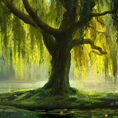 brook beneath the weeping willow (ft. Murray Bookchin)