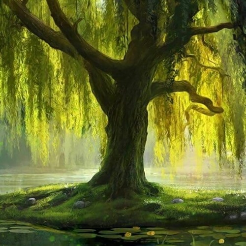 brook beneath the weeping willow (ft. Murray Bookchin)