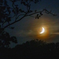 Tangelo (RHCP cover)