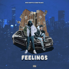 Ciggyo Blacc Ft Bizz Gotti - Feelings