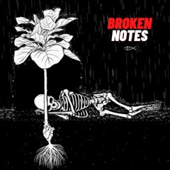 OMER BALIK - Broken Notes