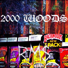 2000 Woods (Feat. RM$ Sosanami) Prod by. RM$ Yano