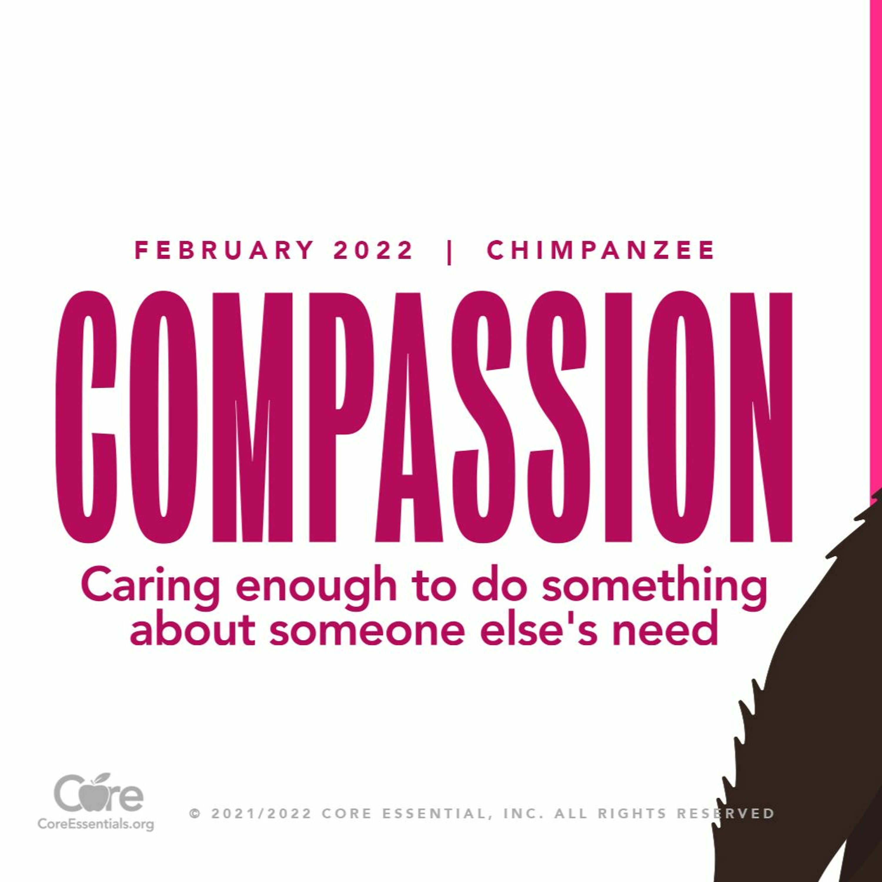 Core Essential Values