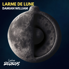Damian William - Larme De Lune (Radio Edit)