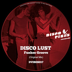 Funkee Groove (Original Mix)