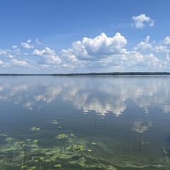 Mini Hammes -Sommardröm | Summer Dream