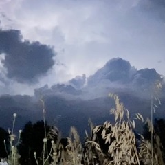 It's a Cruel, Cruel World