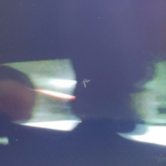 WRONG DAY PROD ZVANZ