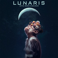 Adalamoon & Capital Monkey - Lunaris