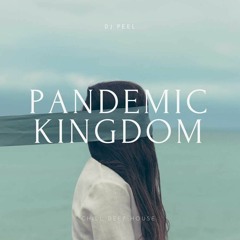 Dj Peel - Pandemic Kingdom