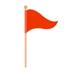 the flag is raised cover + bnnett