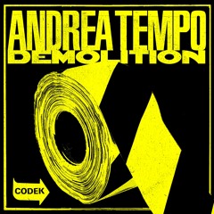 Premier: Andrea Tempo - 19 - 81 (In Flagranti Remix)