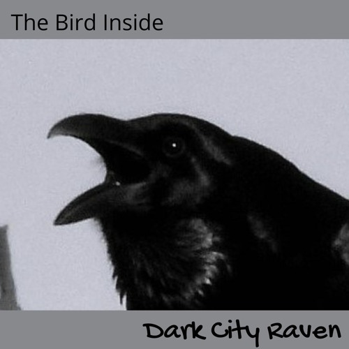 DARK CITY RAVEN