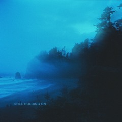 nocturnea - still holding on