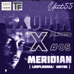 MERIDIAN - EXODIA X_sliced_05