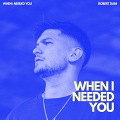 Robert Dani - When I Needed U (90s Dance Mix)