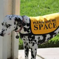 Give Me Space (STBB#969)