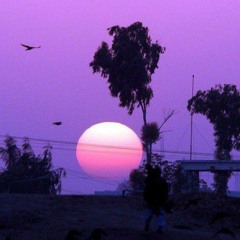 Duracell x Prince Rosé-What you do to me?