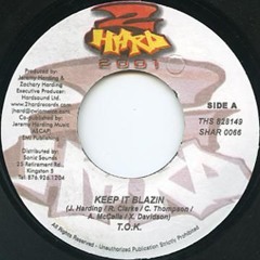 KEEP IT BLAZIN' - Early 2000 Dancehall (RAW) Feat - TOK, Ward 21, Cobra, Beenie, Bounty, Elephant ++