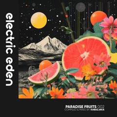 EERMIX002 Kabazjaka - Paradise Fruits 002