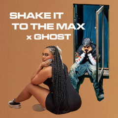Shake it to the max (Barry Fair GHOST Edit)