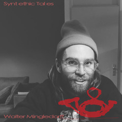 Walter Mingledorff - Synthetic Tales - 09.01.25