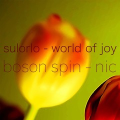 Sulorlo - World Of Joy - [Boson Spin & nic]