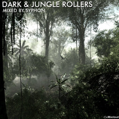 Dark & Jungle Rollers