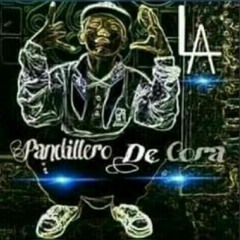 Mara salvatrucha SLSW