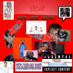 S.T.O.A.T