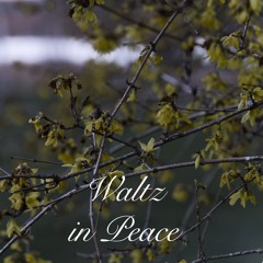 Waltz in Peace