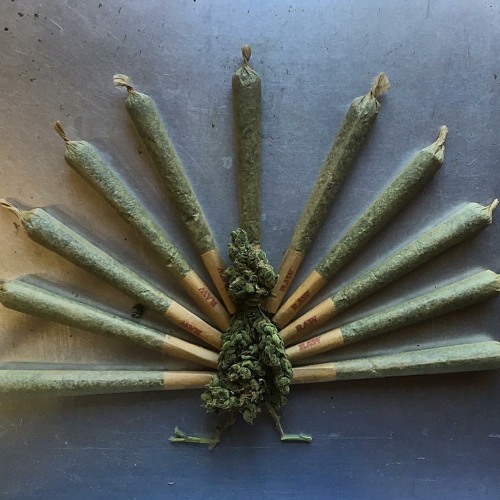 Rhythm and Experimentation with Roche