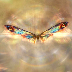mothra