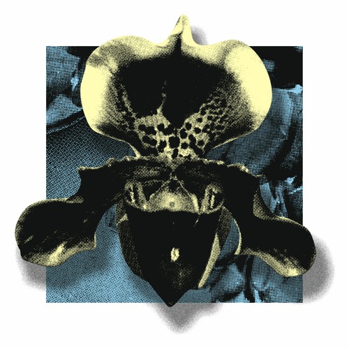 PREMIERE: RDS - smwajkb [SoHaSo]