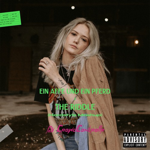 Ein Affe und Ein Pferd X The Riddle (CrowdControlla Mashup)