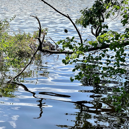 Stream The Nearness Of U Guitar Bass Duo by Stanley Sagov Listen