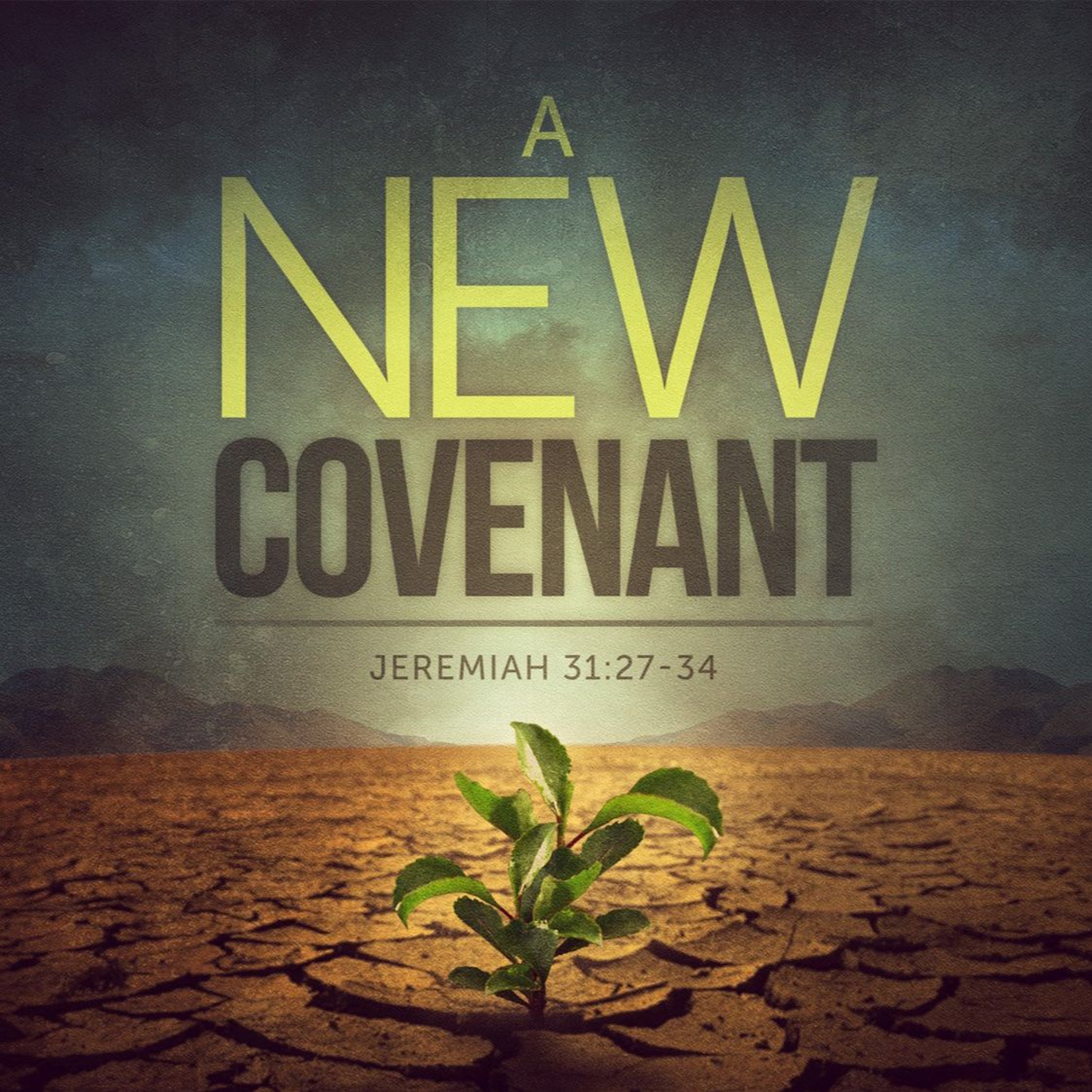 But We're Under The New Covenant episode artwork