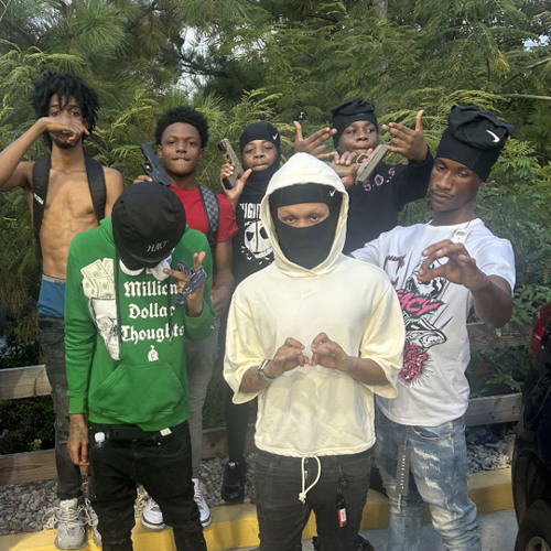 HempFlower-Ft.(HmtK5,HmtGeo) prod. gothamcitysoulja x lilodmv
