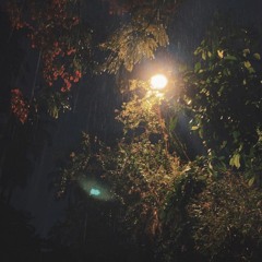 Visionary - Feelings