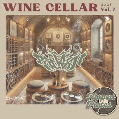 raidxn - wine cellar #007