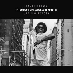 James Brown - If You Don't Give A Doggone About It (LUP INO Rework)