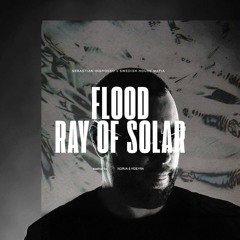 Sebastian Ingrosso, Swedish House Mafia - Flood / Ray Of Solar [NORUA & VIDEYRA Mashup]